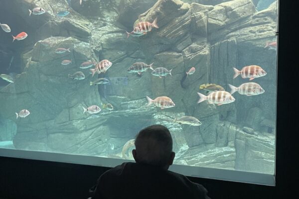 ammosecoresidence-aquarium-tour4