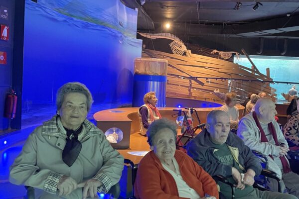 ammosecoresidence-aquarium-tour6