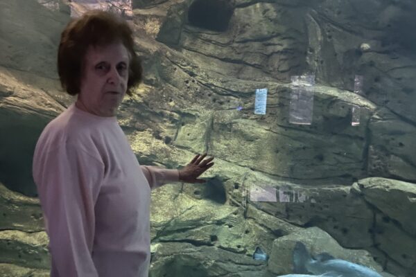 ammosecoresidence-aquarium-tour7